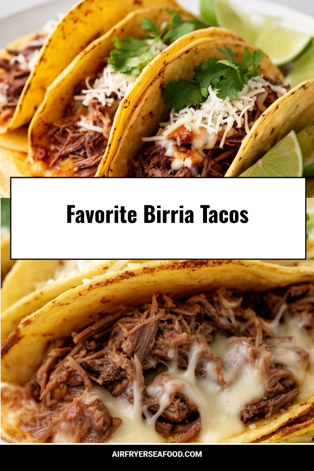 Favorite Birria Tacos