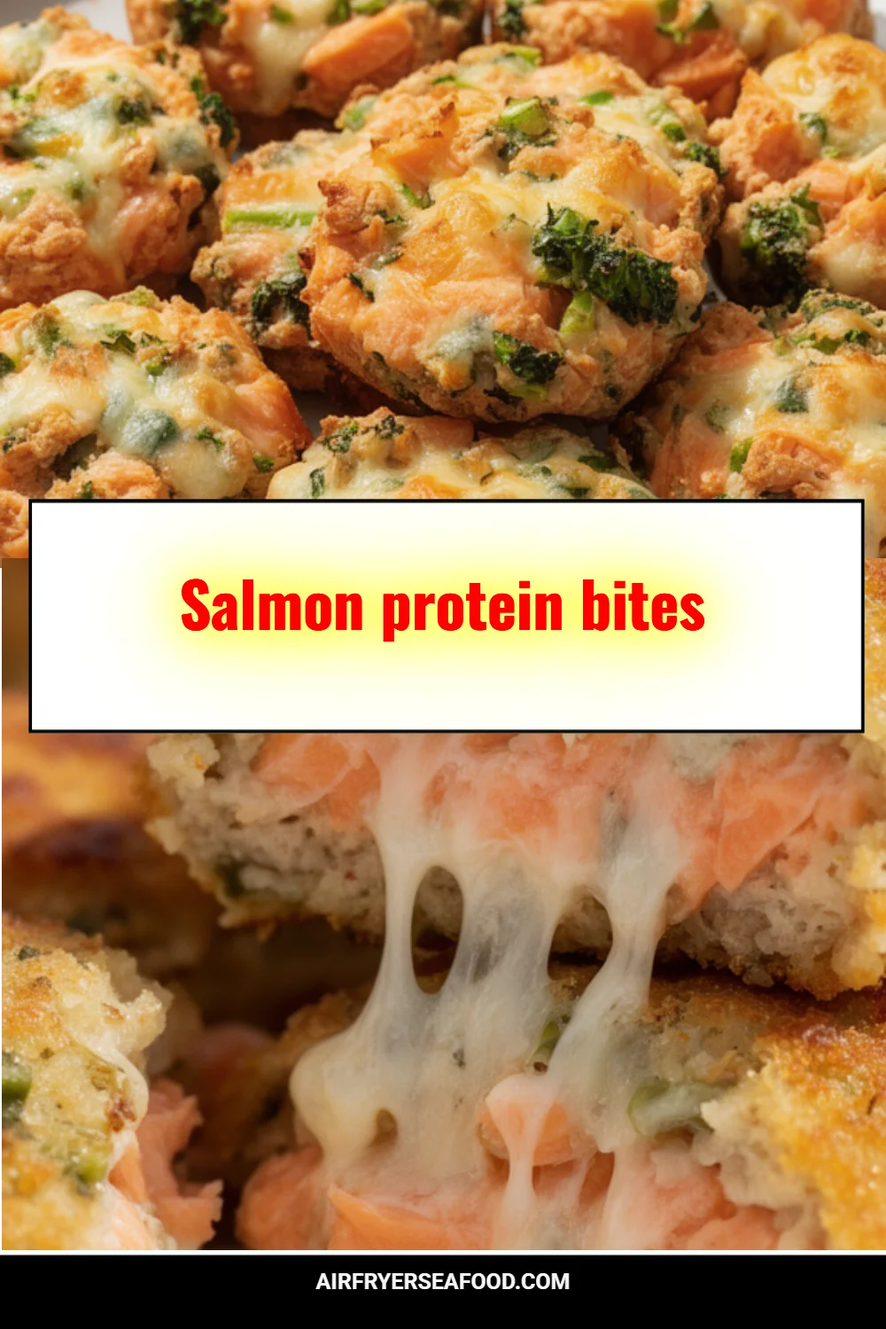 Salmon protein bites